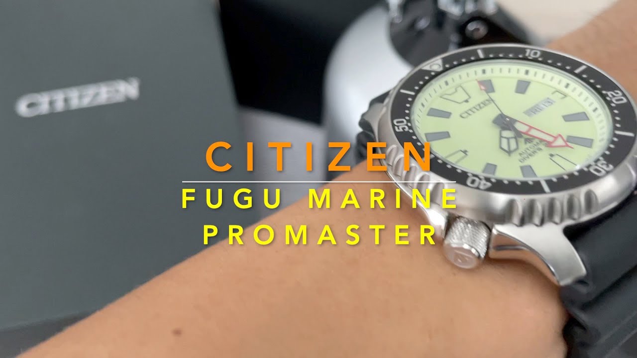 Citizen Fugu Full Lume Marine Promaster Limited Edition - NY0119 19X
