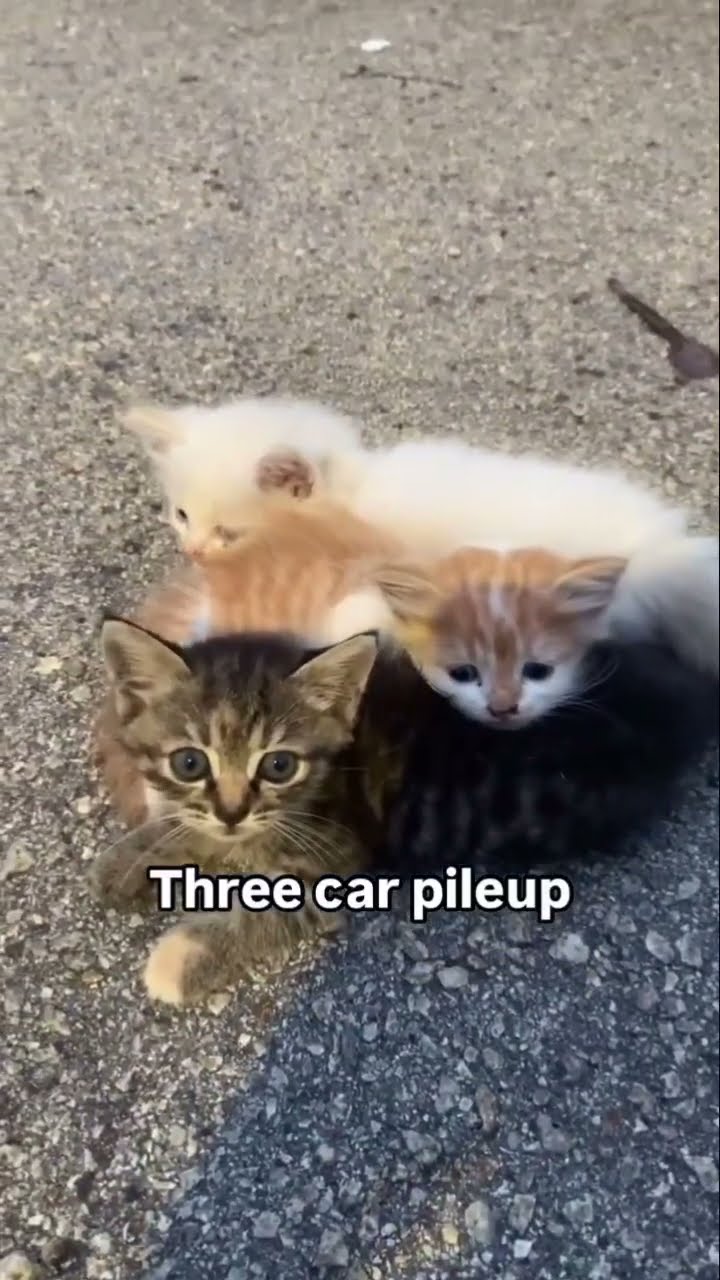 Twinn they got a car pile up awhhh this looks crazy