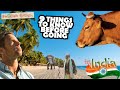 India travel guide 2021 | What you need to know before going on vacation