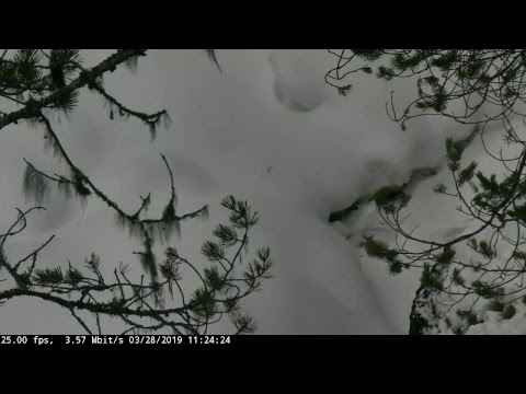 Oulanka Live Webcam Live Stream