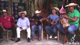 QUE TE VAS TE VAS | CONJUNTO ARROYO GRANDE Feat ARTURO VILLELA DE ARCELIA GUERRERO