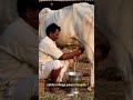 90% Farmers Make This Mistake! | Best Time to Give Calcium to Cows &amp; Buffalo