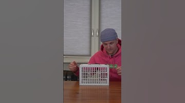 Enzo Sloopt Product