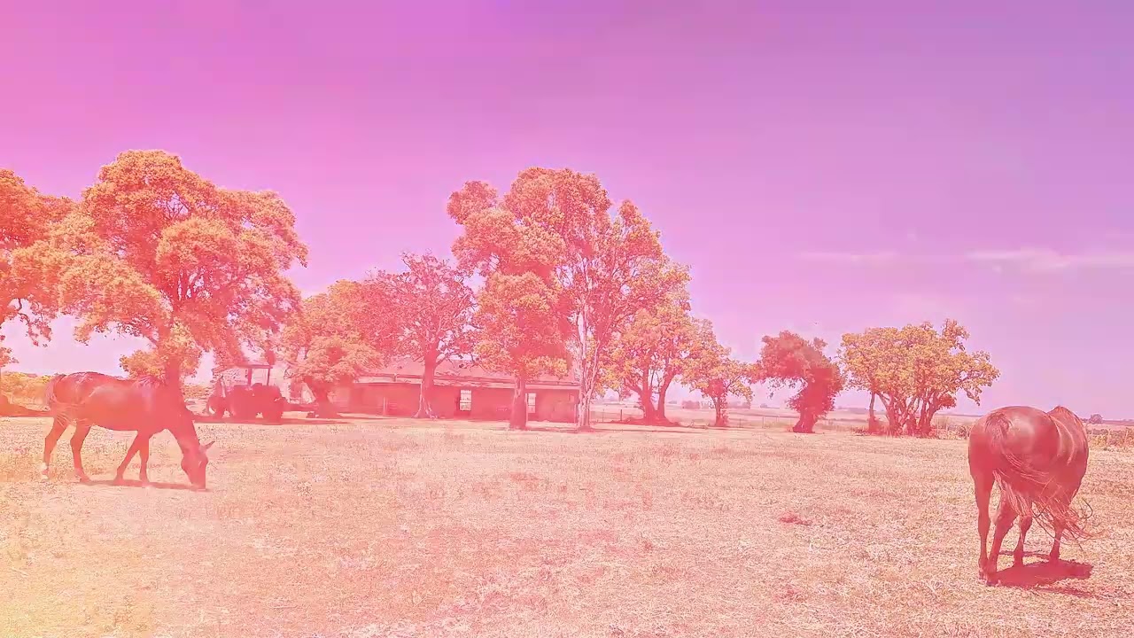 Farmland in Colonia, 480 hectares