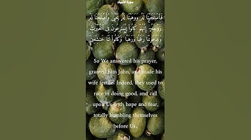 سورة الأنبياء من الأية 89 الى 91 ياسر الدوسري