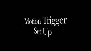 Motion Trigger Set Up For APP Notification