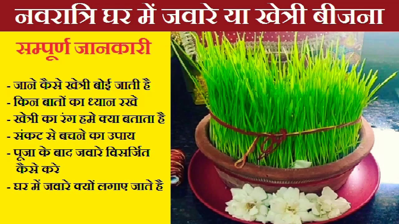 Navratri Special - information Guide - Javare / Kheti - जवारे या खेत्री ...
