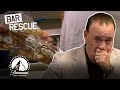 Biggest Bar FAILS Of 2020 😱 Bar Rescue