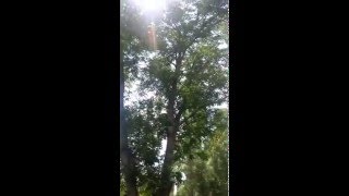 20130711_141939.mp4