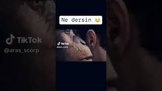 Balığa Gidelimmi🤣🤣