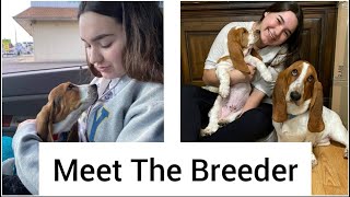 Meet the Basset Breeder