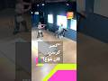 كسر كرسي فان غوغ بعدما حاول الجلوس عليه هذا ما حدث مع زائر هذا المتحف كسر كرسي فان غوغ بعدما حاول الجلوس عليه هذا ما حدث مع زائر هذا المتحف