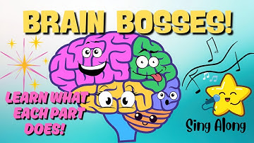 Parts of the Brain Song for Kids 🧠Learn Brain Parts & What They Do | STEM Song for Grades 2–4