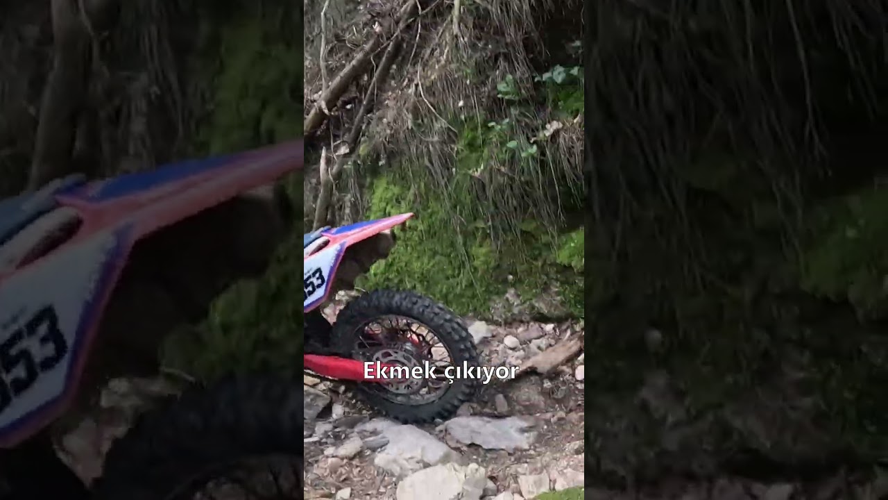 Ekmek çıkıyor 🤣 