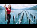 How To Craft Ancient Fishing Tools - Harvesting A Large School Of Carp | Lucia Fishing