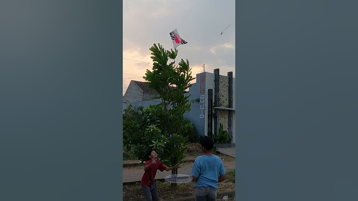 Ngakak! bocil layangan kocak    497 #shorts #kite #layanganputus