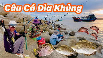 Câu Cá Dìa Khủng Ở Kè Biên Phòng Lagi Bình Thuận| Cá Ăn Sò Móng Tay Giật Ngay Cá Khủng !