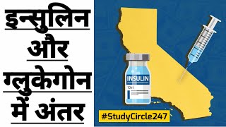 NEET 2023 इन्सुलिन और ग्लुकेगोन में अंतर | Difference between Insulin & Glucagon.