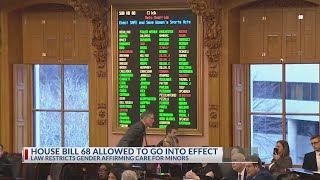 Ohio’s trans healthcare ban can go into effect, Franklin County judge rules