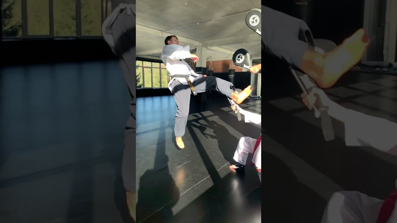 tkd Triple kIcks