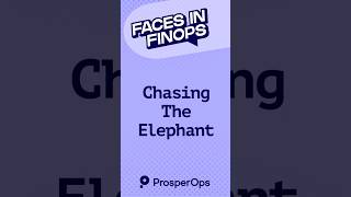 Chasing the Elephant