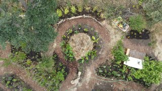 LOOK at this BANANA CIRCLE and garden - OUR FOOD FOREST [ep1 daily shorts]