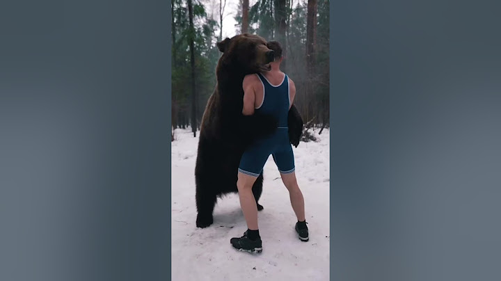 Борется с медведем!! #shorts