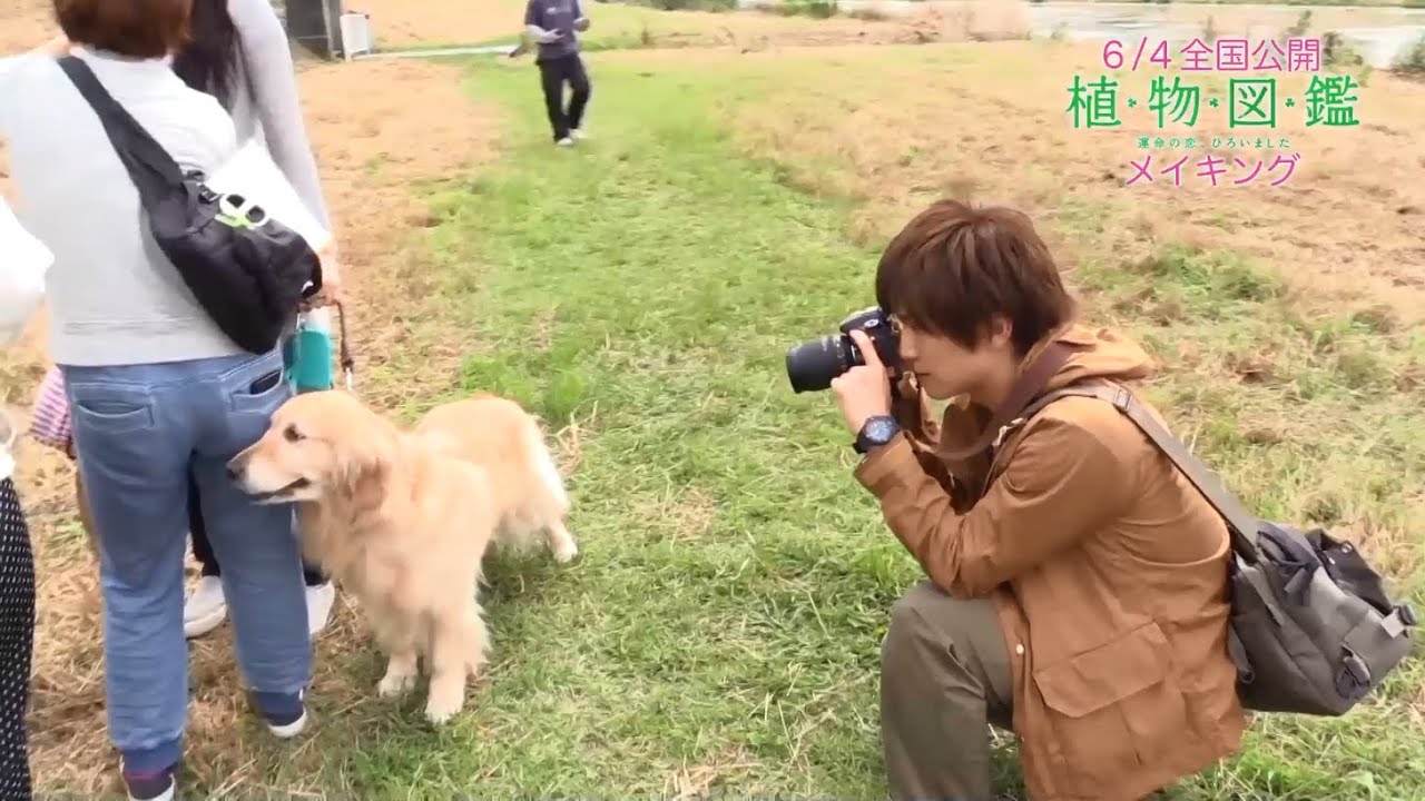 植物図鑑 運命の恋 ひろいました メイキング動画 カメラの撮影指導と犬 Youtube