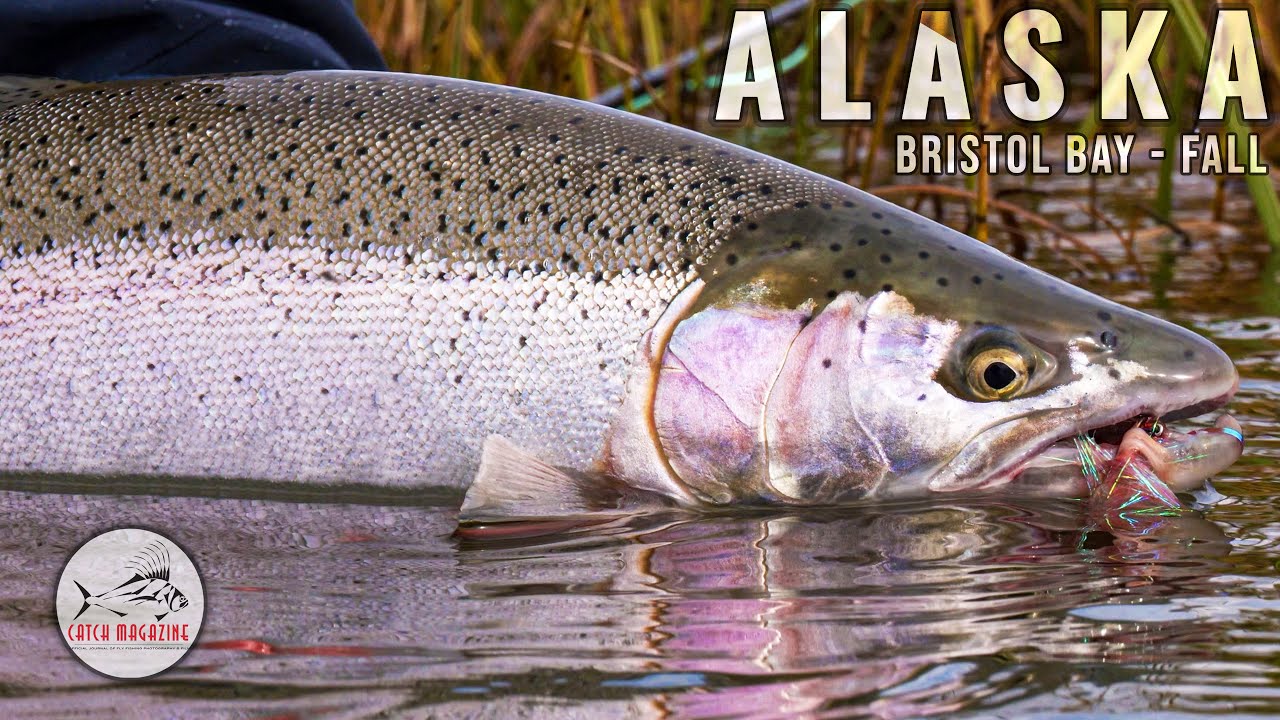 Fly Fishing Wild Alaska-A Perfect Place to Learn to Spey Cast - Men's  Journal