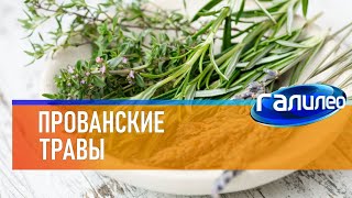 Галилео 🌿 Прованские Травы