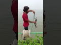 Rigging Giant Chicken Bait! 🐓 Extreme Iron Hook Setup for River Goliaths! 🌊⛓️⚙️ #fishingtutorial