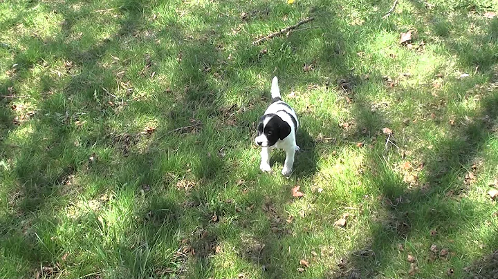 cash at 4 weeks