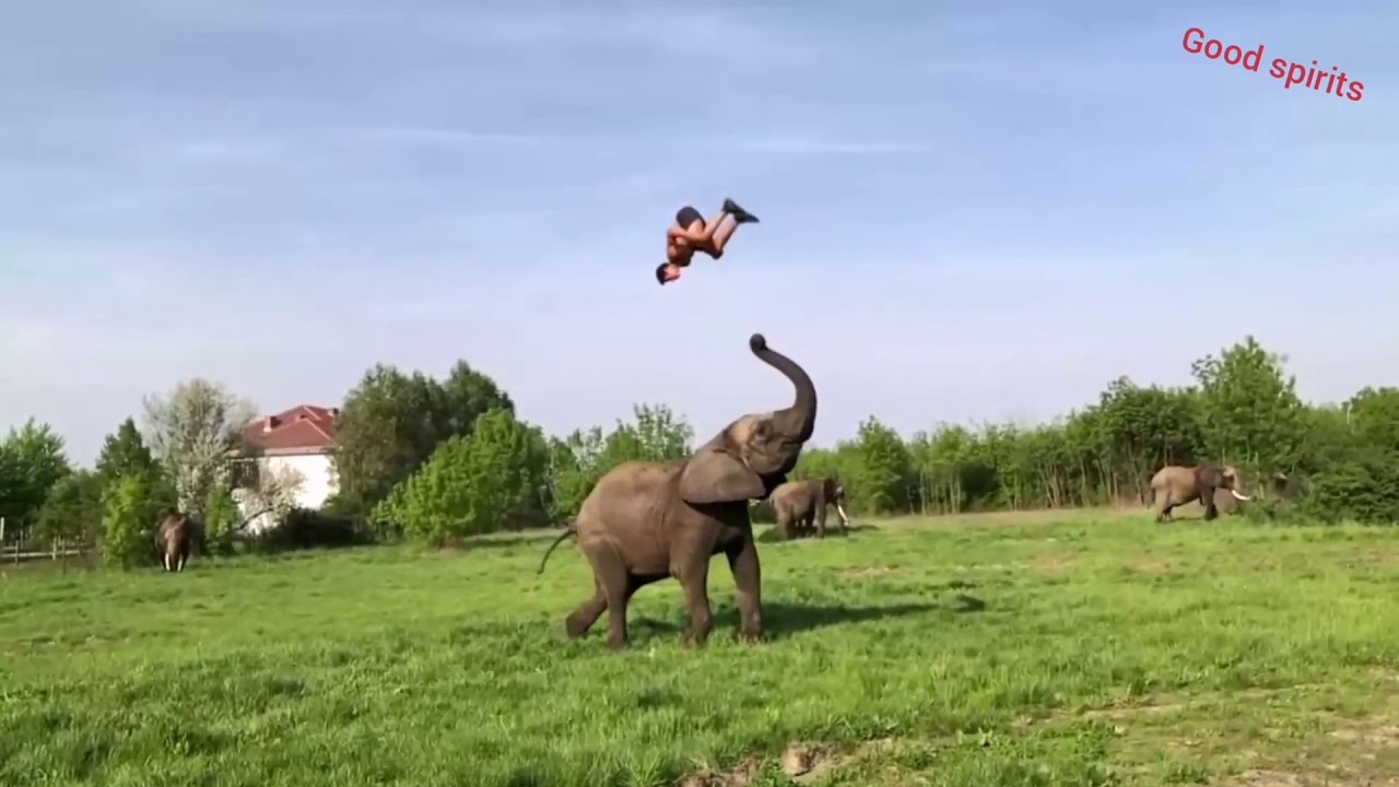 Люди которые делают невероятные вещи топ подборка amazing people 2018