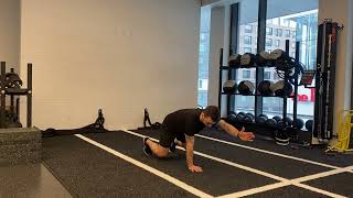 Bear Position Alt  Arm Reach