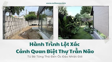 Hành Trình Lột Xác Cảnh Quan Biệt Thự Trần Não: Từ Bê Tông Thô Đến Ốc Đảo Nhiệt Đới | OXI HOUSE