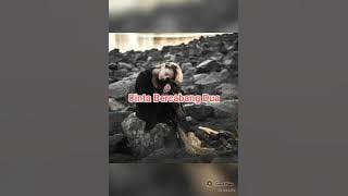 Download lagu Bercabang Dua Voc Mega Mustika