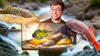 Une RIVIERE dans un AQUARIUM DE 60 LITRES et c'est magnifique ! 