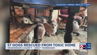 57 dogs rescued from West TN home