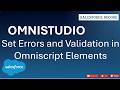 Set Errors and Types of Validation in Omniscript