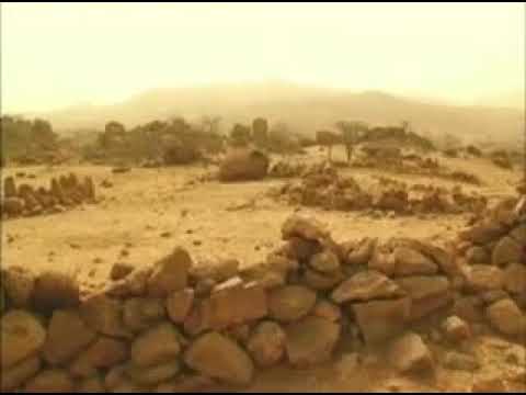 الزغاوة و ما أدراك ما الزغاوة السودان و تشاد