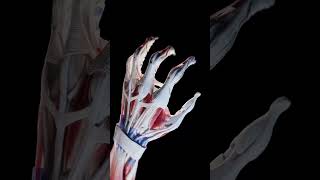 Clone Robotics Human-Like Machine