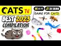 Cat tv  best 2023 compilation for cats  5 hours 4k