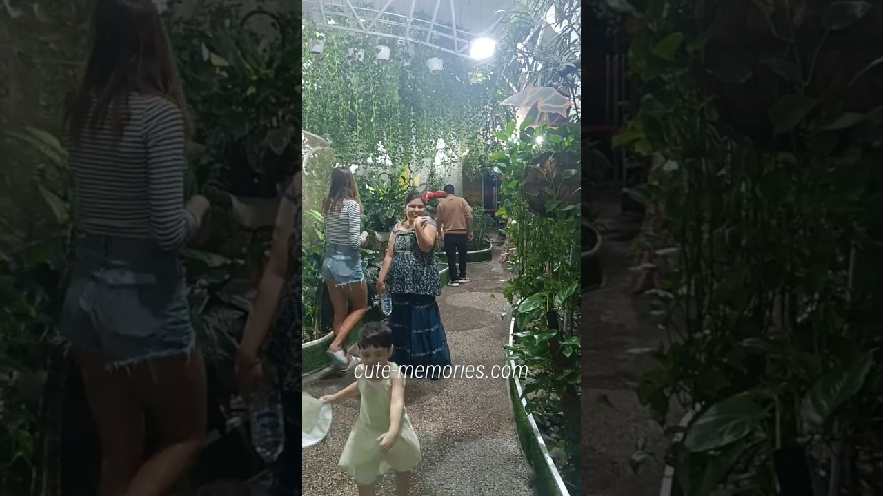 Vaste - Titli - Butterfly Garden of Dubai | #dubai #dubaivlog #uae #butterflygarden