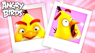 Angry Birds | Best Chuck Selfies 📸