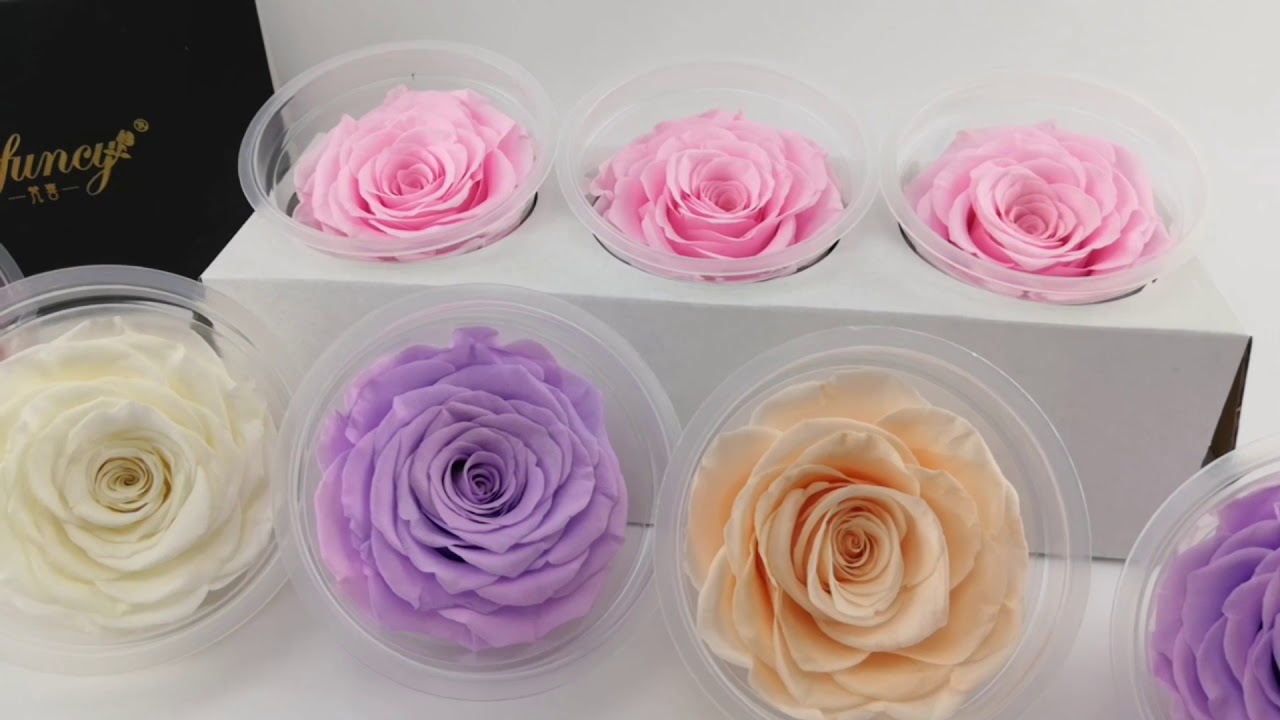 Preserved roses YouTube