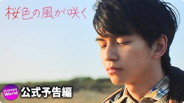 映画『桜色の風が咲く』本予告