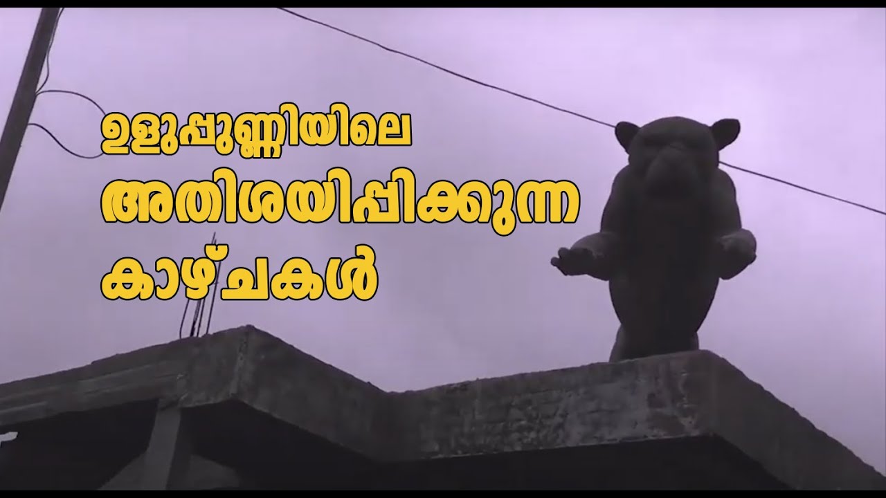 Amazing Ride to Uluppuni Viewpoint | Enchanting Meadows of Uluppuni | Smartpark Techies | Road Trip