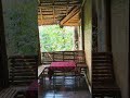 Budget friendly tree house in wayanad #treehouse #wayanad #kerala #keralatourism