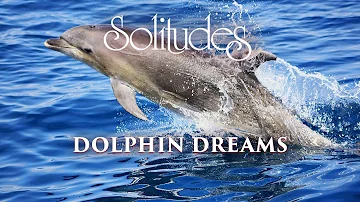 Dan Gibson’s Solitudes - Adventurous Spirit | Dolphin Dreams