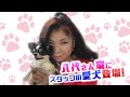 八代亜紀の家に、スタッフの愛犬が遊びに来た♪